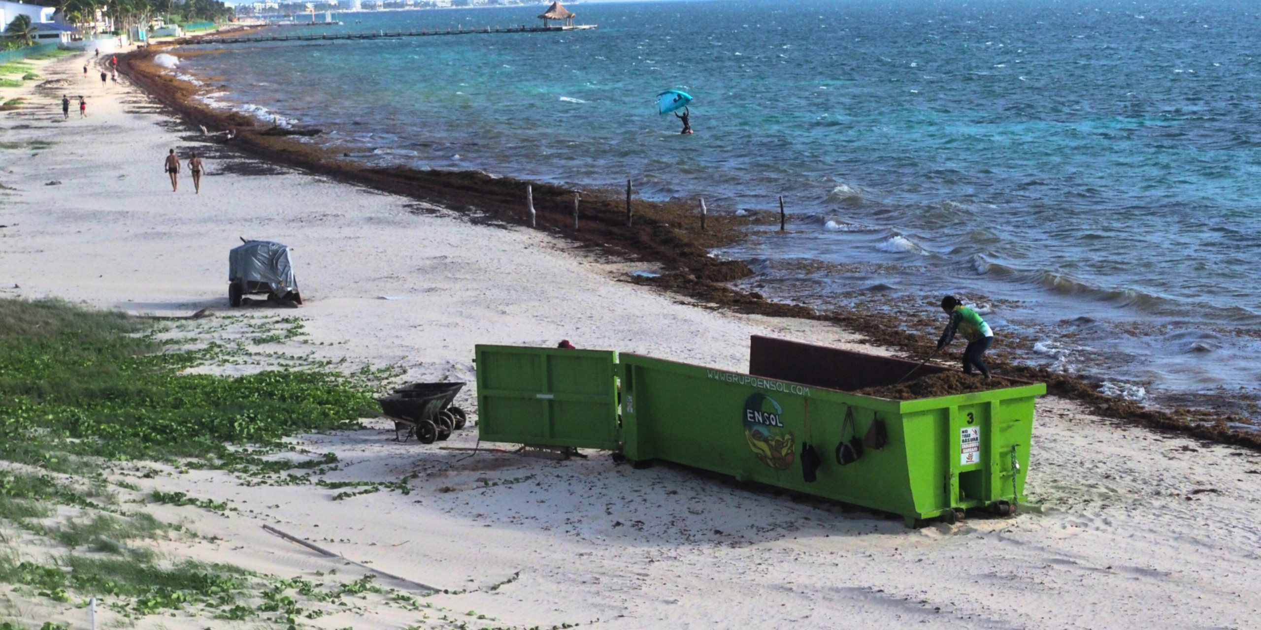 Sargassum removal and beach cleaning operations in Quintana Roo