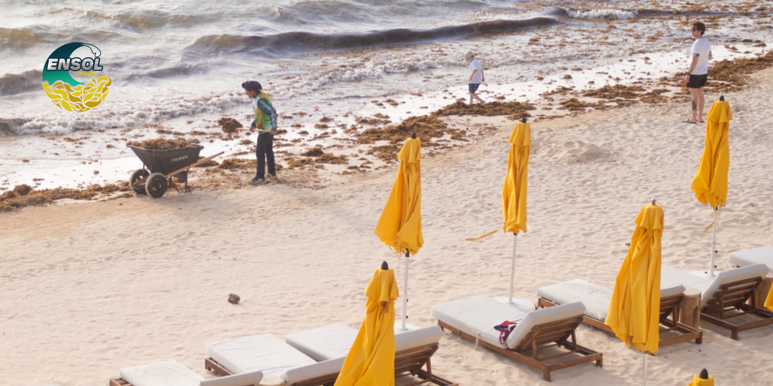 Sargassum accumulation affecting hotel beaches in Quintana Roo, Mexico.