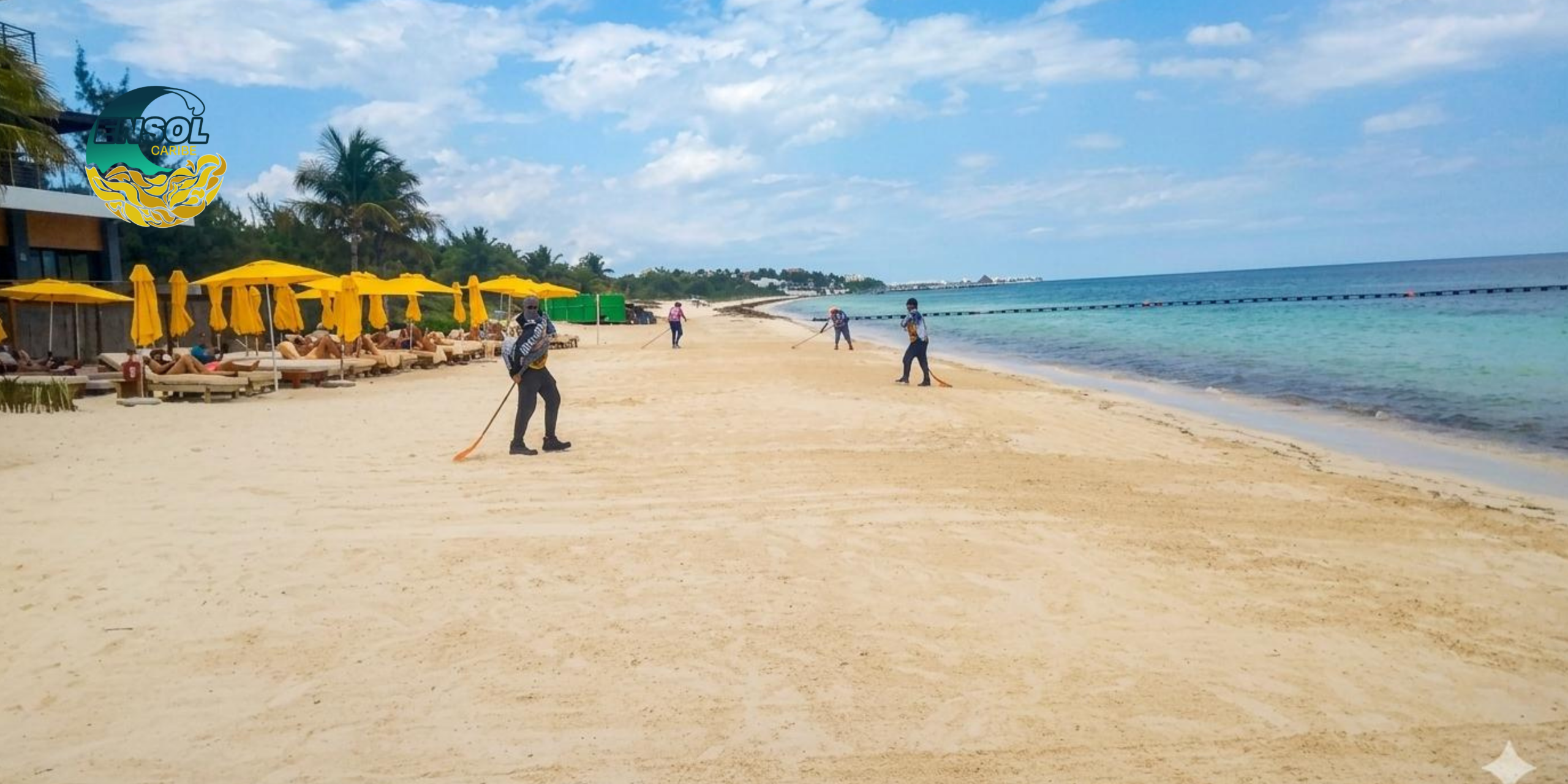 Playa afectada por sargazo que muestra operaciones sostenibles de gestión y limpieza de sargazo en Quintana Roo, México.