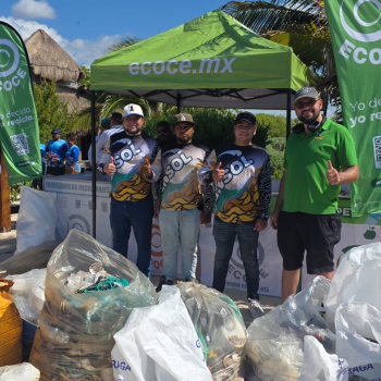 equipo de trabajo grupo ensol