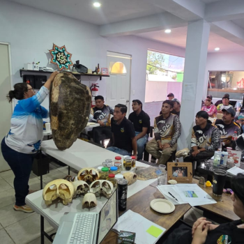 equipo de trabajo grupo ensol (2)