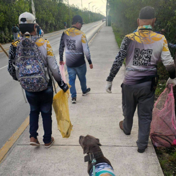 equipo de trabajo grupo ensol (3)