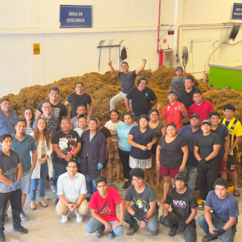 equipo de trabajo grupo ensol (3)