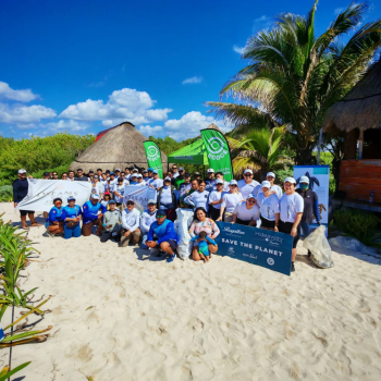equipo de trabajo grupo ensol (4)