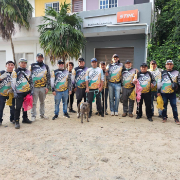 equipo de trabajo grupo ensol (5)