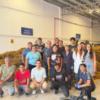 equipo de trabajo grupo ensol