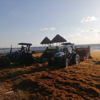 limpieza de playas grupo ensol (6)